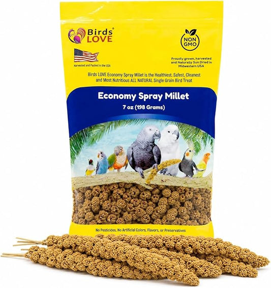 Birds LOVE Economy Special Spray Millet GMO-Free (No Stems Only Edible Tops) for Birds Cockatiel Lovebird Parakeet Finch Canary All Parrots Healthy Treat - 7oz