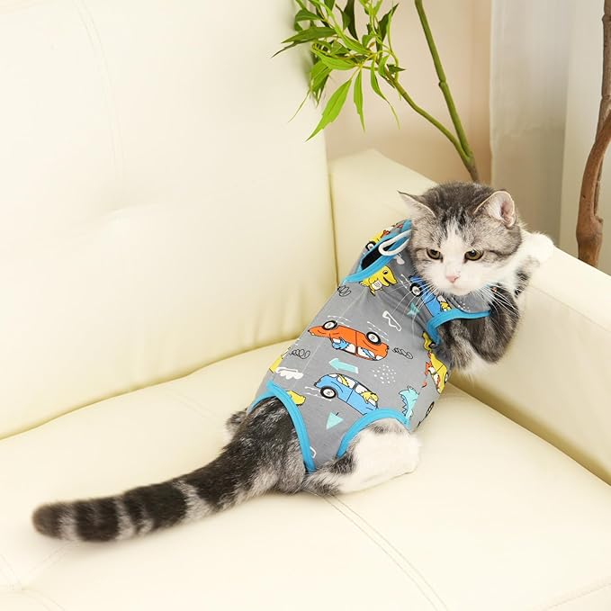 kzrfojy Cat Recovery Suit Cat Onesie for Cats After Surgery Female Male Spay Kitten Neuter Surgical Bodysuit Post Surgery Cone of Shame Alternative Anti Licking (Gray, Medium)