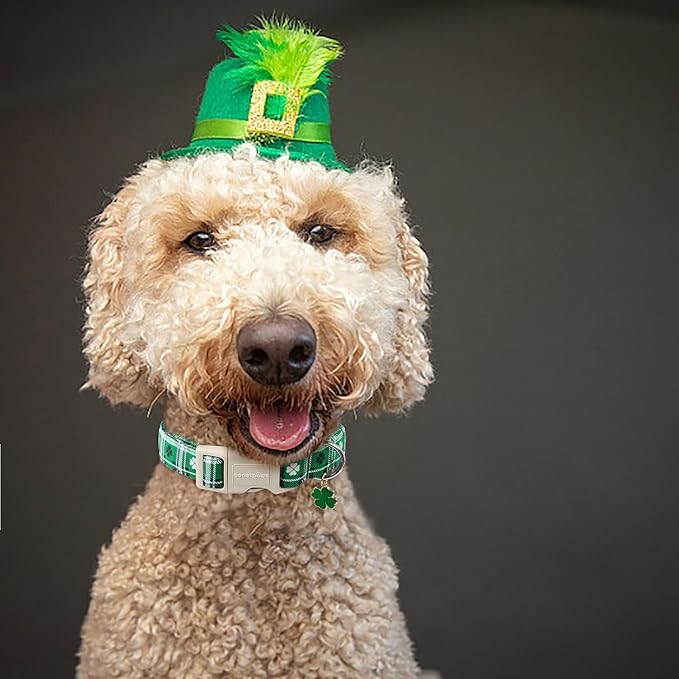 Lionet Paws St. Patrick Dog Collar, Comfortable Adjustable Green Collar with Green Clover Pattern for X-Large Male Female Dogs Collars, Neck 16-26 inches