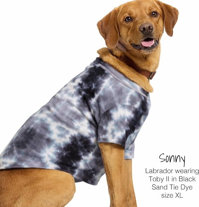 Pet Passion Toby II - The Perfect Tee, 3 Pack Short Sleeve Pet T-Shirt 100% Organic Cotton Tees Clothes for Small, Medium, Large Dogs, Black Sand Tie Dye, Small (10-25 lbs)