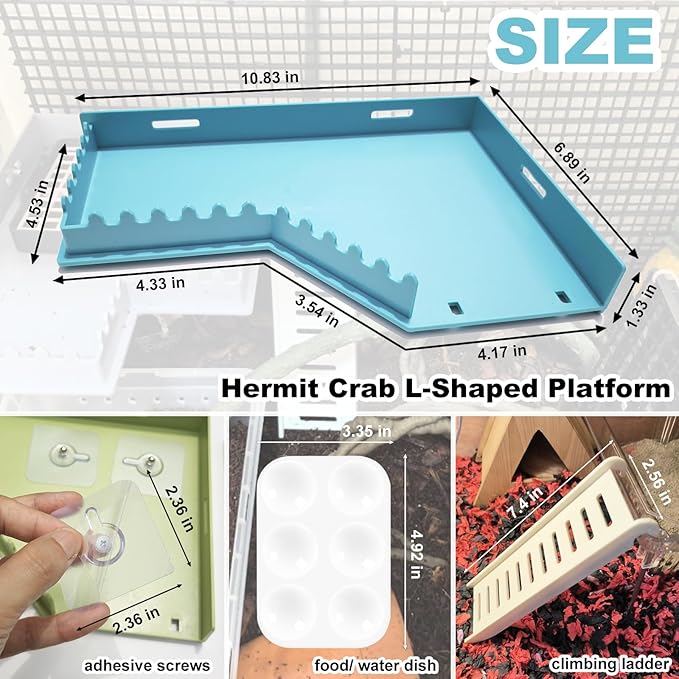 Hermit Crab Accessories - Platform with Ladder and Food Dish, Hermit Crab Climbing Toys, Habitat Supplies and Tank Accessories for Reptiles, Hamsters, Geckos, Small Lizards