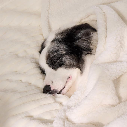 Qeils Waterproof Calming Dog Blanket for Large Dogs, Noiseless Soft Plush Pet Blanket for Bed, 500GSM Thick Faux Fur Pet Throw, Cozy Couch Furniture Protection Washable, Cream, 60x80IN
