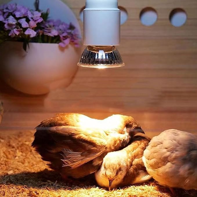 YOUTHINK Superior Reptile Heat Lamp for Lizards - Energy Efficient 360 Degree Lighting and Warm UVA UVB Basking Lamp, Suitable for Birds, Chickens (25W)