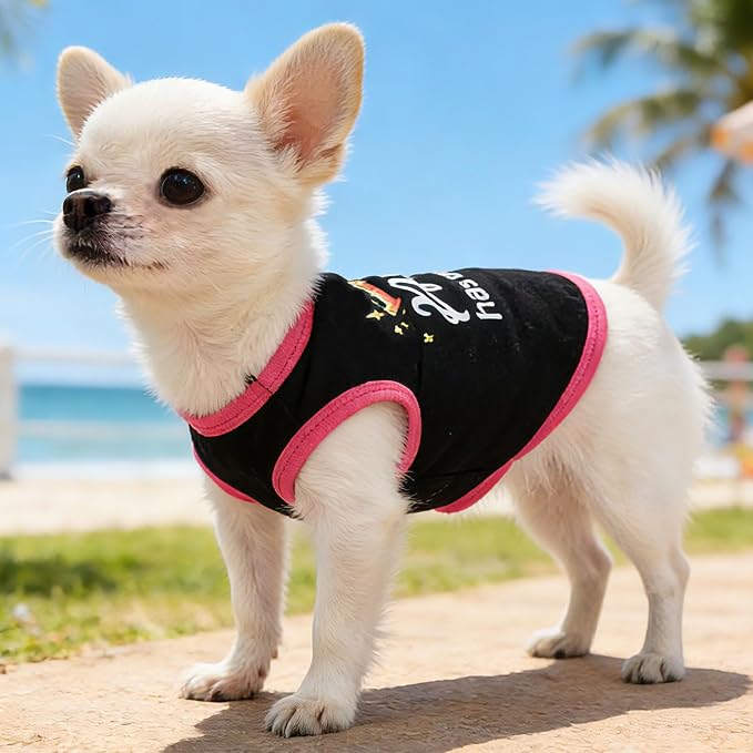4 Pack Dog Shirts for Small Dogs Spring Summer Printed Puppy Clothes Cute Pet T Shirts Dog Clothes for Small Dogs Cats Girl (Grey+Pink+Purple,Black, XXS)