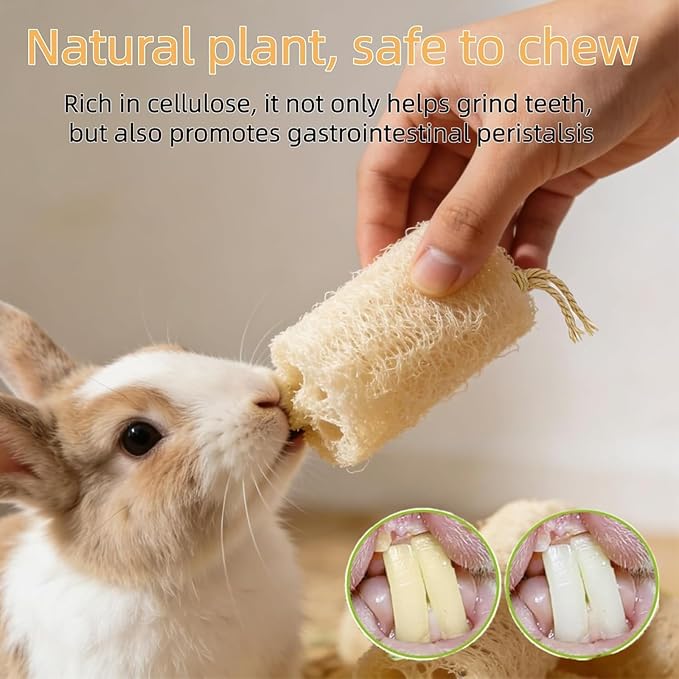 6 PCS Rabbit Chew Toys Natural Loofah Guinea Pig Treats Bunny Stuff Cage Accessories for Chinchillas Guinea Pig (6PCS)