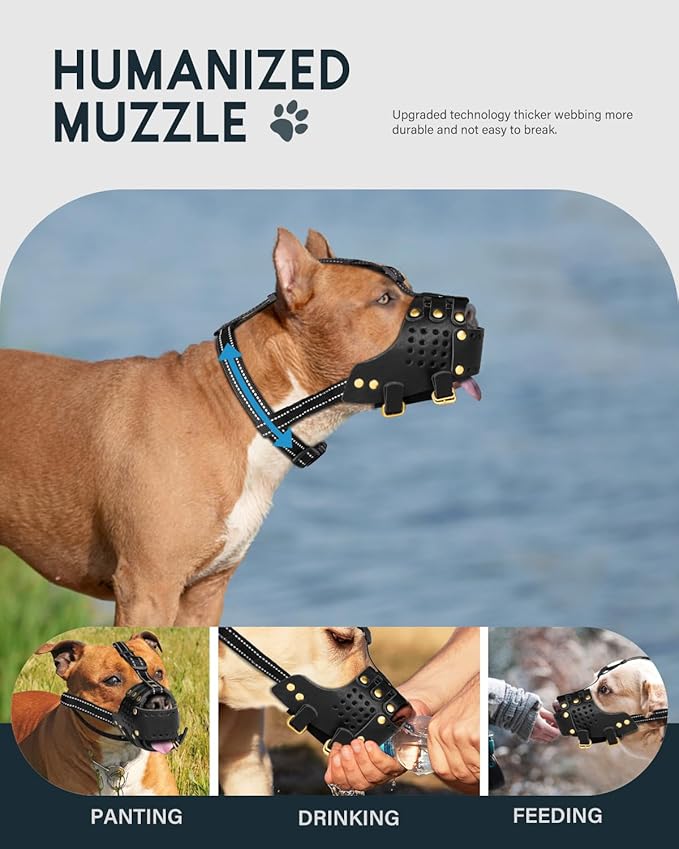 MIDOG Breathable Leather Basket Dog Muzzle for Large Medium Breeds, Anti-Biting Barking Chewing Secure Fit Muzzle for Pitbull German Shepherd, Professional Grooming & Vet Visit, Adjustable XL