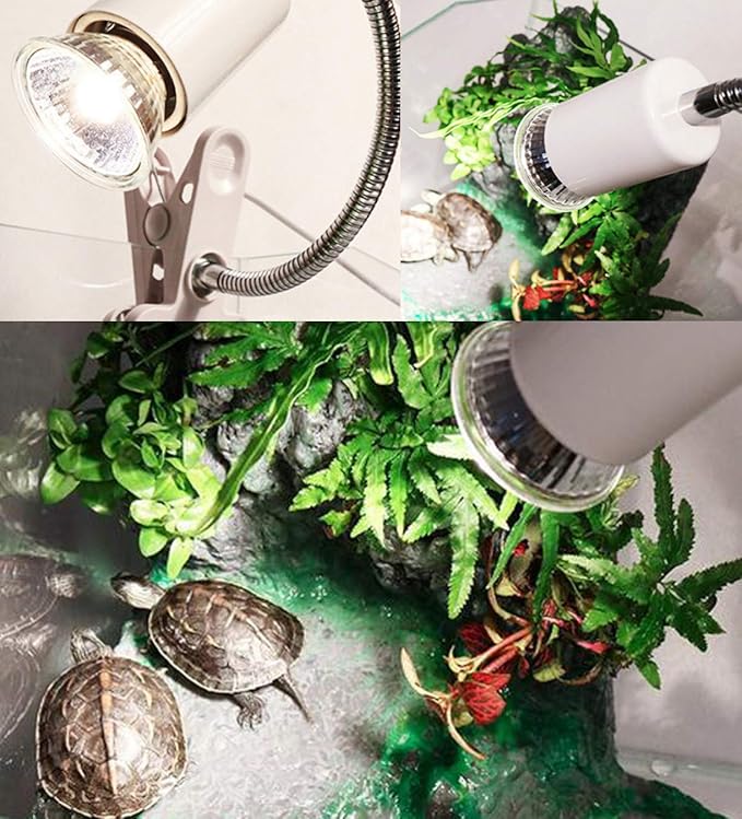 JKLcom UVA UVB Reptile Light 50W UVA + UVB Full Spectrum Sun Lamp UV Heating Lamp for Turtle Aquarium Aquatic Reptile Lizard,E27/E26 Base,110V,50W,Pack of 6