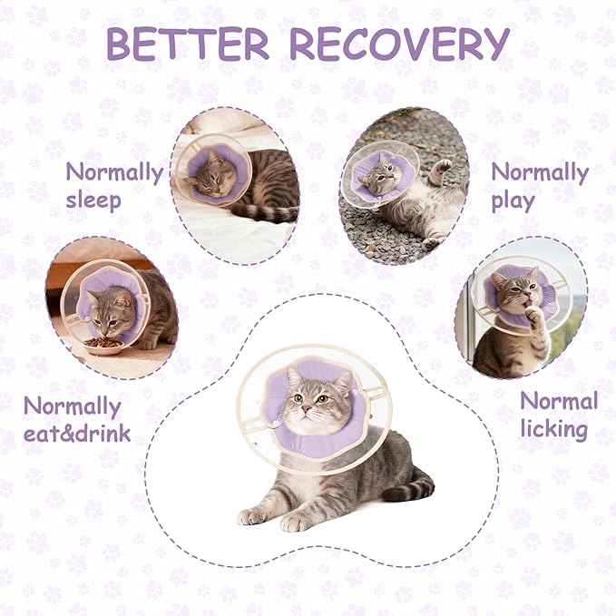 Cute Flower - Shaped Cat Cone for Kittens & Cats (Purple, M)