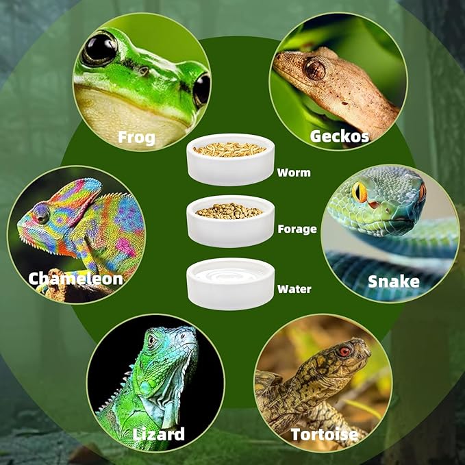 Escape-Proof Reptile Food Dish Bowl, Ceramics Small Animal Bowls for Lizard Frog Snake Turtle Gecko Hamster Food Bowl for Anti Living Foods Escape, Reptile Water Dish (S,1.96inches)