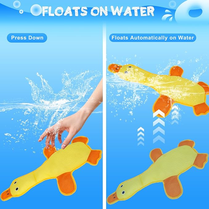 EXPAWLORER Squeaky Floating Dog Toys for Water Fetch, Stuffed Duck Dog Pool Toys with Squeakers, Soft Mesh Interactive Outdoor Summer Essentials for Small Medium Large Dogs, 2 Pack