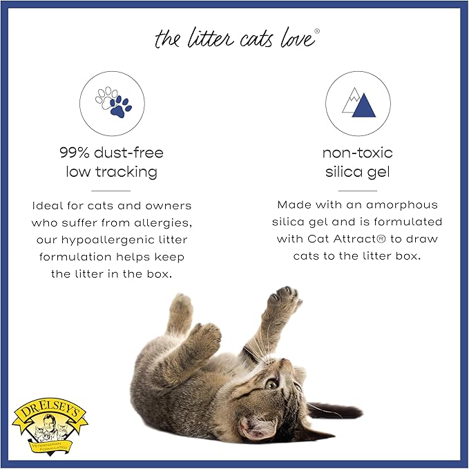 Precious Cat Senior Litter, 8lbs