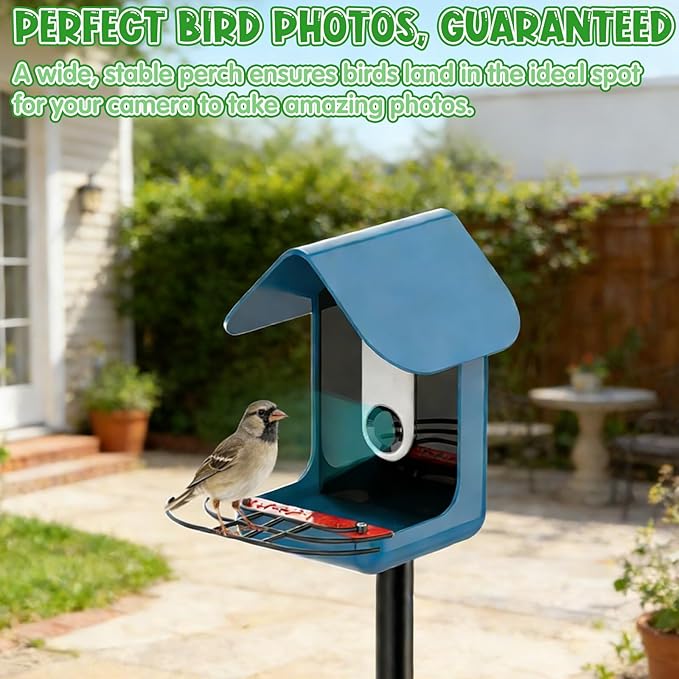 Metal Perch Extender for Bird Buddy Feeder, Suet Feeder Accessories and Replacement Part – Easy Installation with 2 Screws, Supports Multiple Birds for Enhanced Birdwatching & Photography