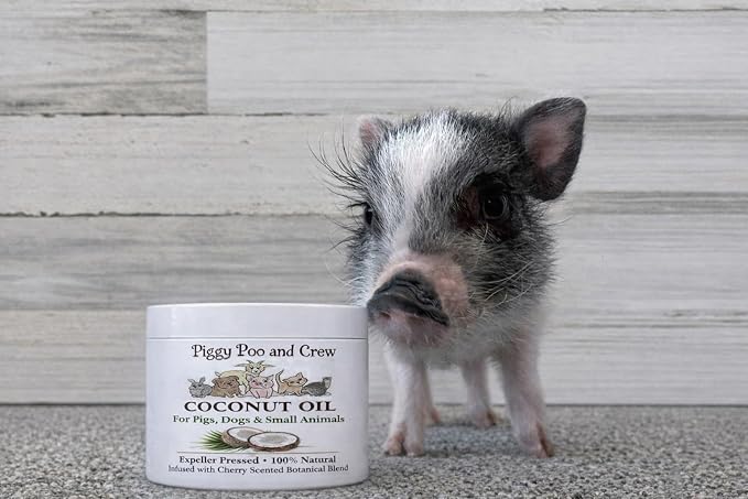 Piggy Poo and Crew Brightening Pet Shampoo and Coconut Oil Bundle, Oatmeal Cherry Scent, Gentle pH-Balanced, No Bleach, Peroxide or Alcohol for Pigs and Small Animals