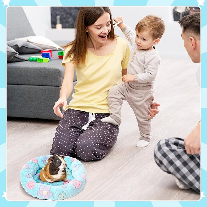 FEBSNOW Guinea Pig Beds, Hamster Bed Hedgehog Bed for Tortoise Hamster Hedgehog Lizard Squirrel and Other Small Animal