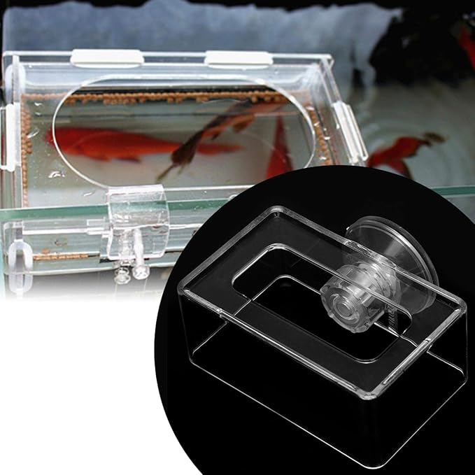 Aquarium Fish Feeding with Suction Cup, Floating Food Feeder for Betta Goldfish Small Tanks, Acrylic Fish Feeder for Reducing Waste and Keeping Water Clean, 2 Sizes for Feeding Tub