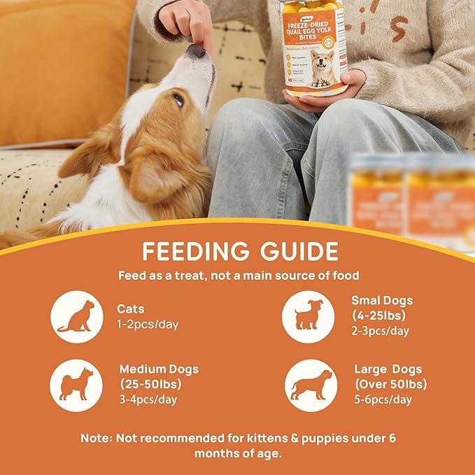 Freeze Dried Quail Egg Yolk, Freeze Dried Cats & Dogs Treats, Premium Quality High Protein Training Treats, Naturally Single Ingredient, Grain Free, Gluten Free, Filler Free, Net Wt. 8 oz