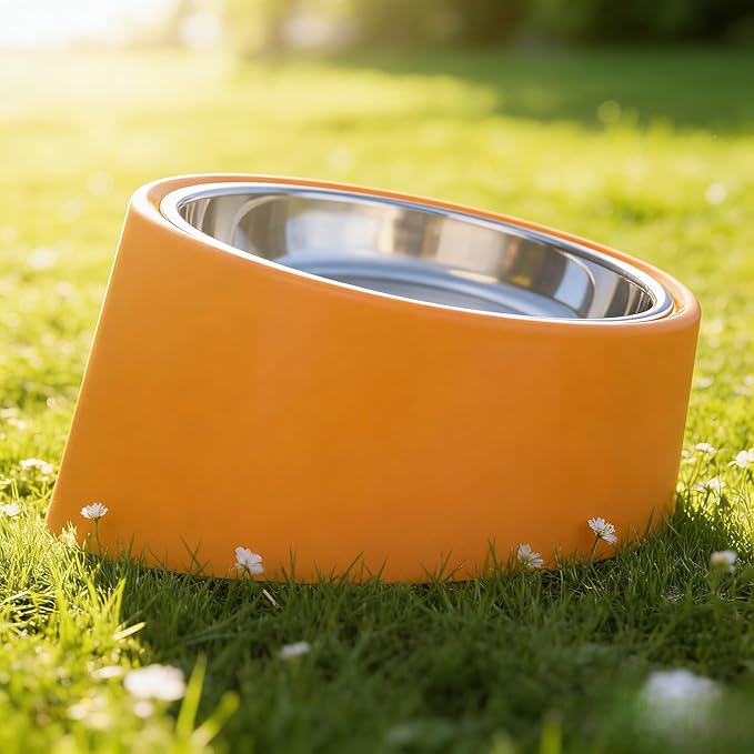 Slanted Dog Bowl Slow Feeder, 15° Tilted Elevated Raised Food Water Dish, Anti-Choke Anti-Gulping for Cats Dogs, Non-Spill Weighted Base, for Medium