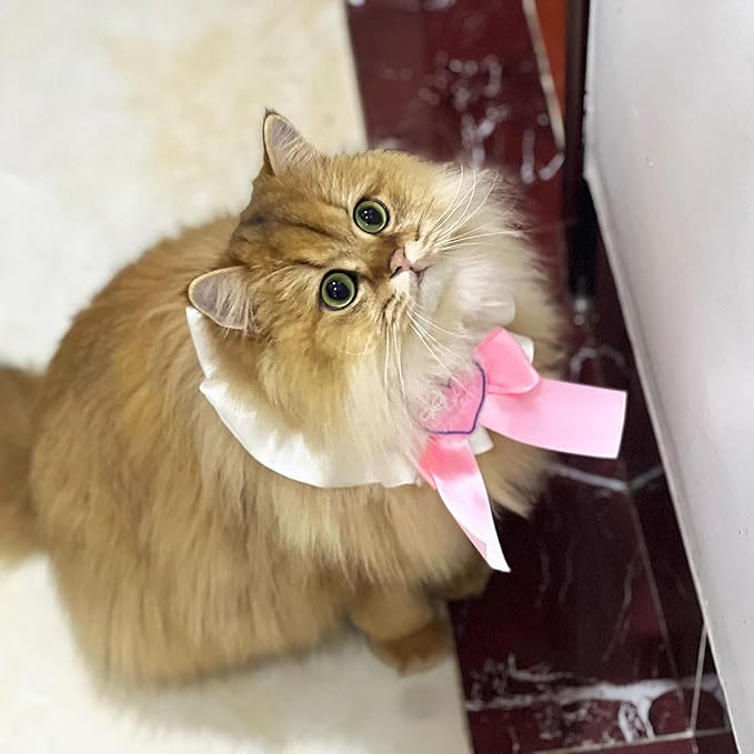 Elegant Lace Cat Collar with Cute Bow,Kitty Collars with Bow Tie,Pet Lace Bib Collar with Cute Bow,Cat Princess Costumes,Pink,1 Piece