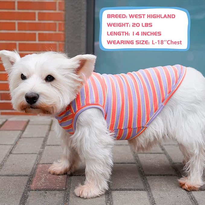 KYEESE 2Pack Dog Shirt, Soft Striped Dogs T Shirts, Lightweight Pet Tank Top, Sleeveless Dog Shirt for Small Dogs, Stretchy Comfortable Pet Vest, Purple+Orange Striped, Large