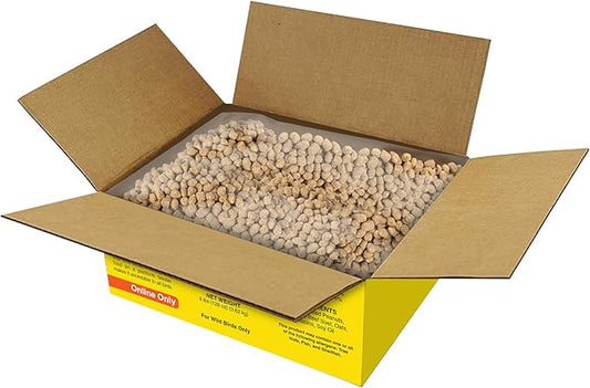 C&S Wild Bird Bluebird Suet Nuggets Mega Box, 8 Pounds