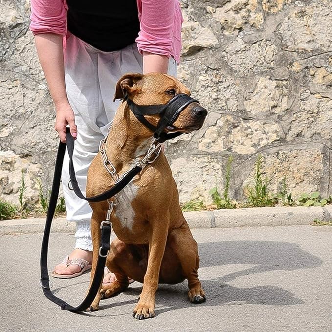 Nylon Dog Muzzle for Small,Medium,Large Dogs Prevent from Biting,Barking and Chewing,Adjustable Loop(XL/Green)