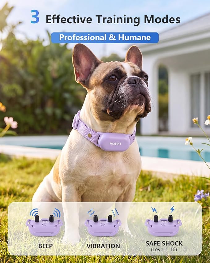 PATPET Shock Collar for Dogs - 4000FT Dog Training Collar with Remote, IPX7 Waterproof 4 Modes(Beep/Vibration/Shock/Safe) Dog Shock Collar, Rechargeable for Small Large Dogs (8-120Lbs) (Purple)