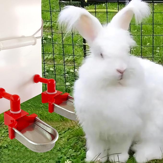 Metal Rabbit Chicken Water Cup Chicken Kettle DIY Chicken Small Hamster Guinea Pig Rabbit (red, 3)