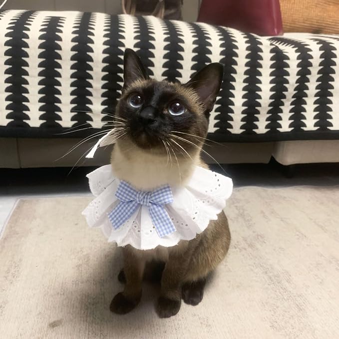 Elegant Lace Cat Collar with Cute Bow,Kitty Collars with Bow Tie,Pet Lace Bib Collar with Cute Bow,Cat Princess Costumes,Blue1 Piece