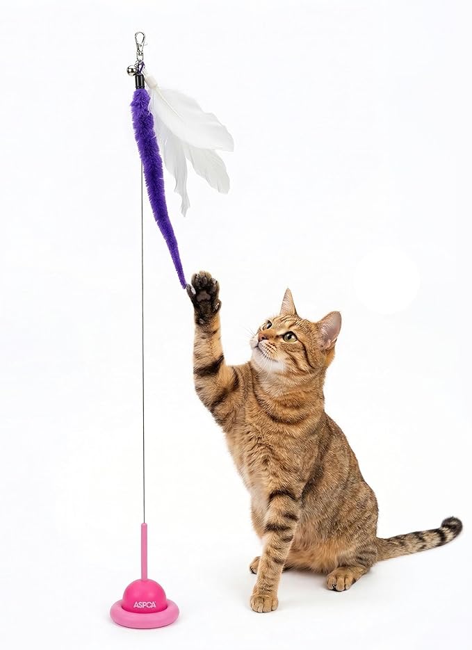 ASPCA Suction Cup Cat Toy Interactive Wand, Self Play Cat Toy for Indoor Cats, Attaches to Smooth Surfaces, Teaser Wand for Chasing, Batting & Enrichment, Pink