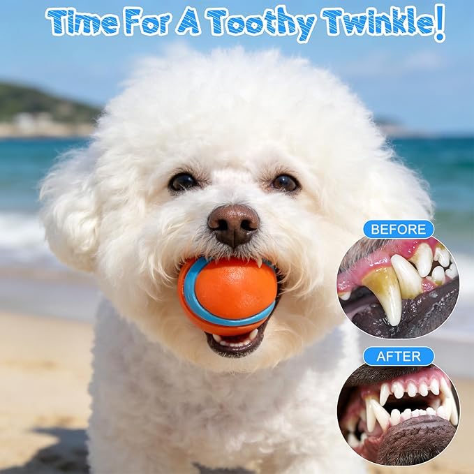 EXPAWLORER Floating Dog Water Pool Toys - 4 Pack Interactive Water Retrieving Fetch Speaky Chew Toy for Small Medium Large Dogs, Durable Dog Chew Toys for Summer Essentials Outdoor Beach Yard