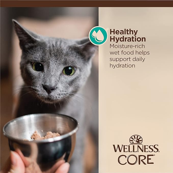 Wellness CORE Tiny Tasters Flaked Adult Wet Cat Food, Natural, Protein Rich, Grain Free, Tuna and Salmon Recipe, 1.75 oz, Pack of 12 Pouches