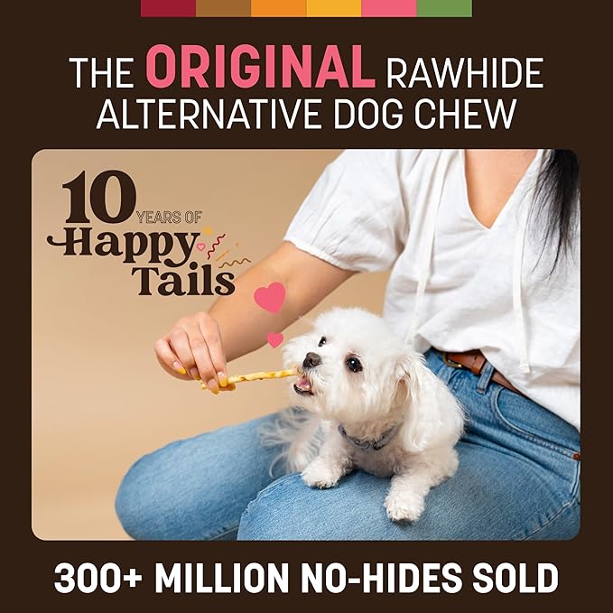 Earth Animal No Hide Stix - Long Lasting Rawhide Free Small Dog Chews Sticks, Salmon - 20 Count Value Pack