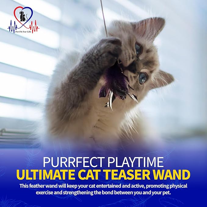 PET FIT for Life 2 Feather Wand CAT Toy, RED and Purple