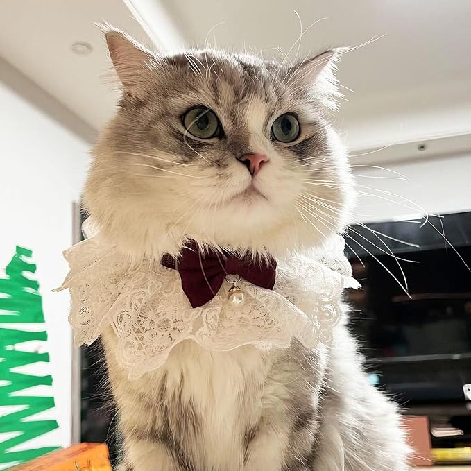 Elegant Lace Cat Collar with Cute Bow,Cat Collar with Bow Tie,Pet Lace Bib Collar with Cute Bow,Cat Princess Costumes,Crimson,1 Piece ﻿