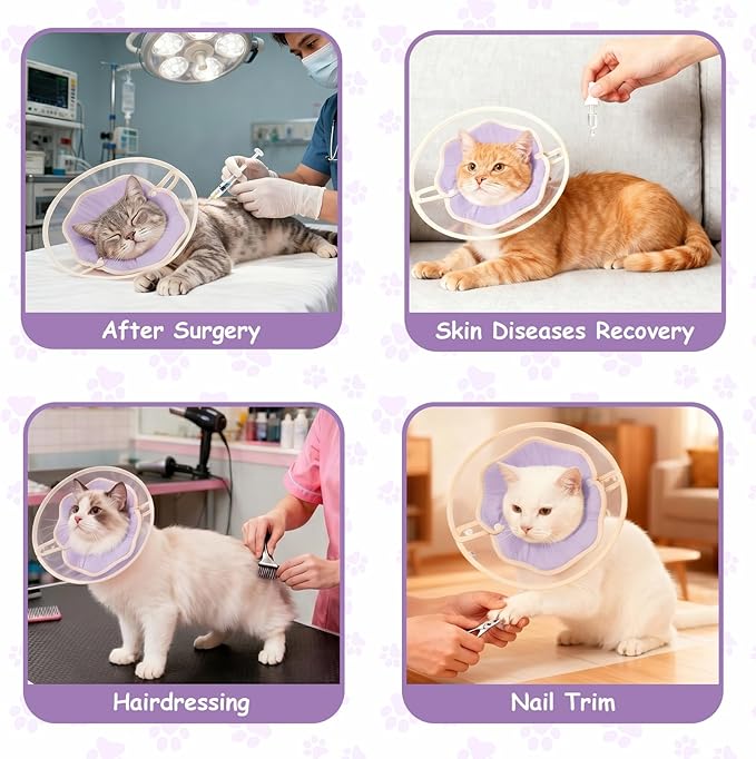 Cute Flower - Shaped Cat Cone for Kittens & Cats (Purple, L)