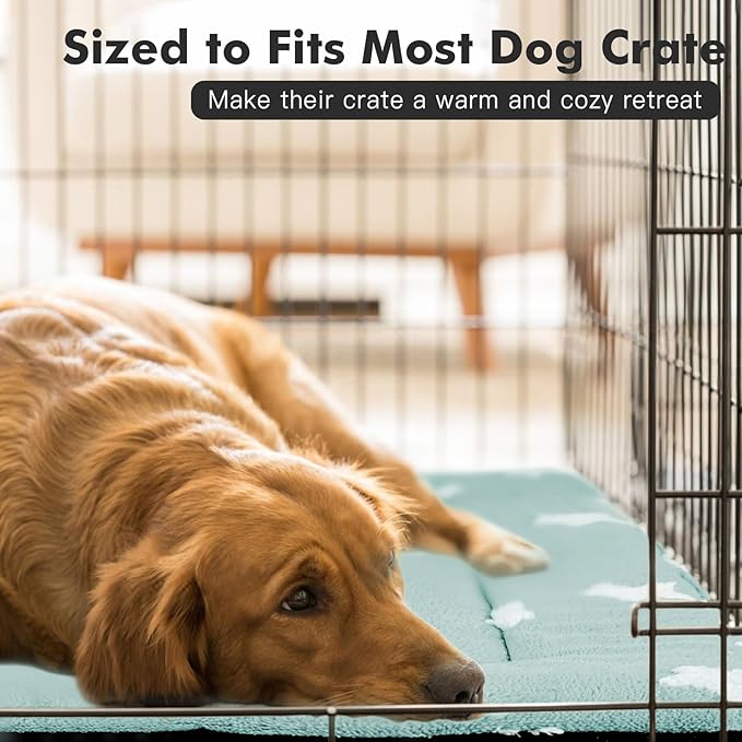 Mora Pets Cat Bed for Indoor Cats Washable Dog Crate Pad Cute Star Dog Bed Mat for Small Dogs Pet Kennel Pad for Cage Soft Flat Puppy Kitten for Sleeping Anti-Slip Blue 22 x 13 inch 2 Pack