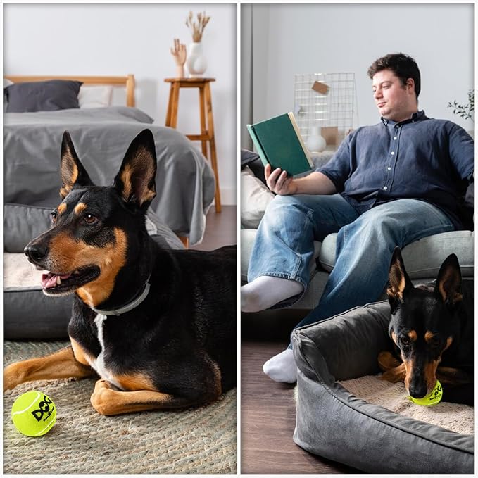 INSUM Squeaky Dog Balls - Squeaky Tennis Balls for Dogs, Yellow | Medium - 2.5'', 20Pack
