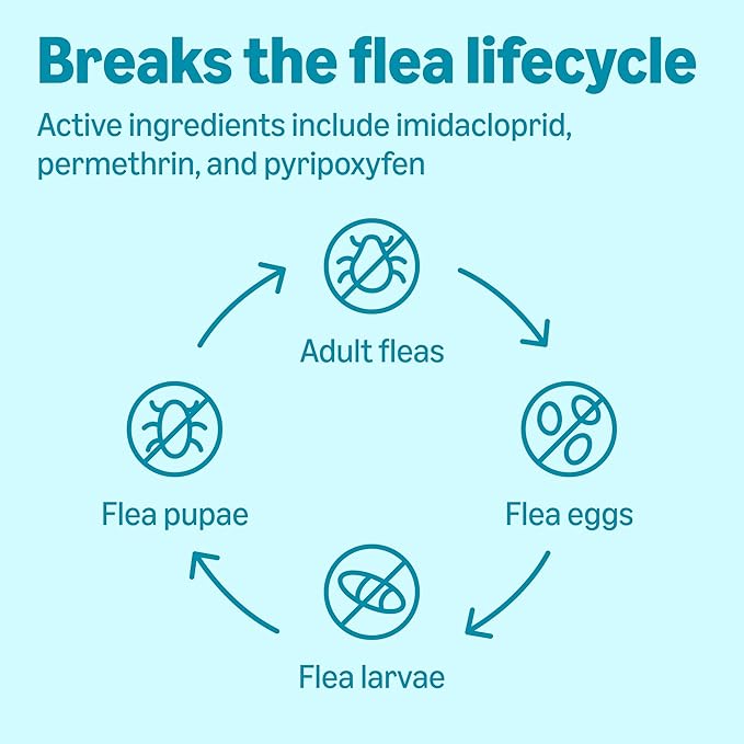Amazon Basics Preventative Flea, Tick & Mosquito Topical Treatment for X-Large Dogs (Over 55 pounds), Kills Fleas, Long-Lasting, 6 Count, Packaging May Vary