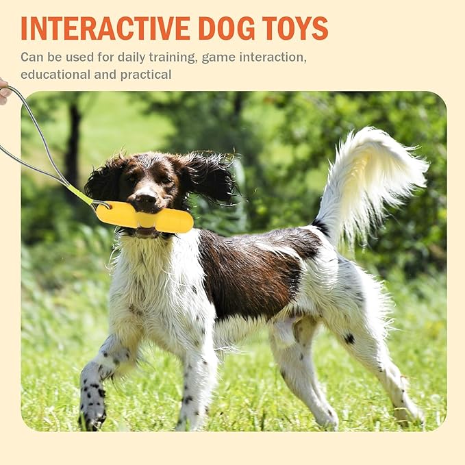 SCENEREAL Floating Dog Toys for Water Fetch, 8.5" Dog Water Toy for Medium Large Dogs, Tough Interactive 2 Pack Fetch Bumpers with Durable Rope for Summer Training Teething Outdoor Pool