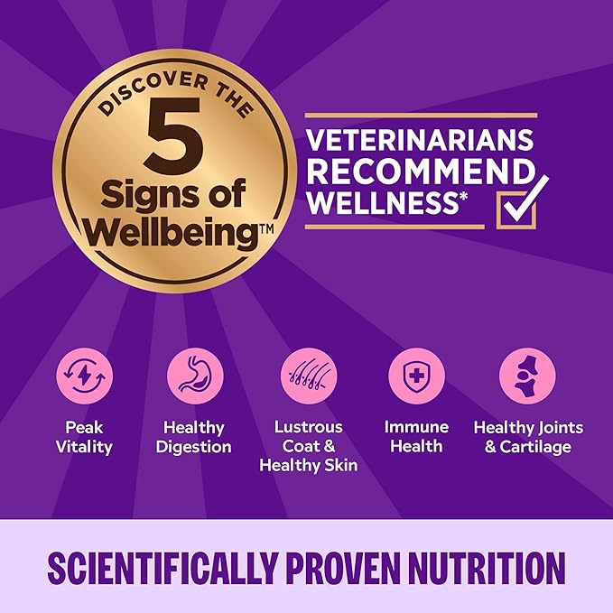 Wellness Complete Health Pate Variety Pack Adult Canned Wet Cat Food, Natural, Protein Rich, Grain Free, Chicken and Turkey Favorites, 3 oz, Pack of 12 Cans