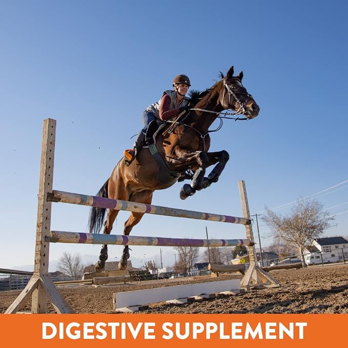 Plus Gastric Support Supplement for Horses with Omega 3s | Relieves Ulcers, Calming Supplement, Magnesium & Other Vital Minerals | Powder, 6 Pound Bag, 45-Day Supply | by Eagle Equine