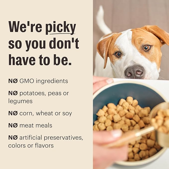 The Honest Kitchen Human Grade Dry Dog Food, Whole Food Clusters Puppy Whole Grain Dry Dog Food,Chicken, 4 lb Bag