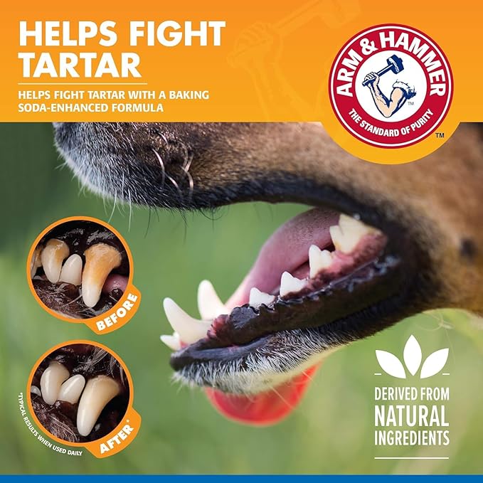 Arm & Hammer Clinical Care Dental Rinse for Adult Dogs, Odorless Flavorless Water Additive for Daily Plaque, Tartar, and Bad Breath Control, Baking Soda Enhanced Formula, 16 Fl Oz - 2 Pack