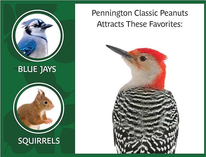 Pennington Classic Shelled Peanuts 5 pounds (Pack of 2)