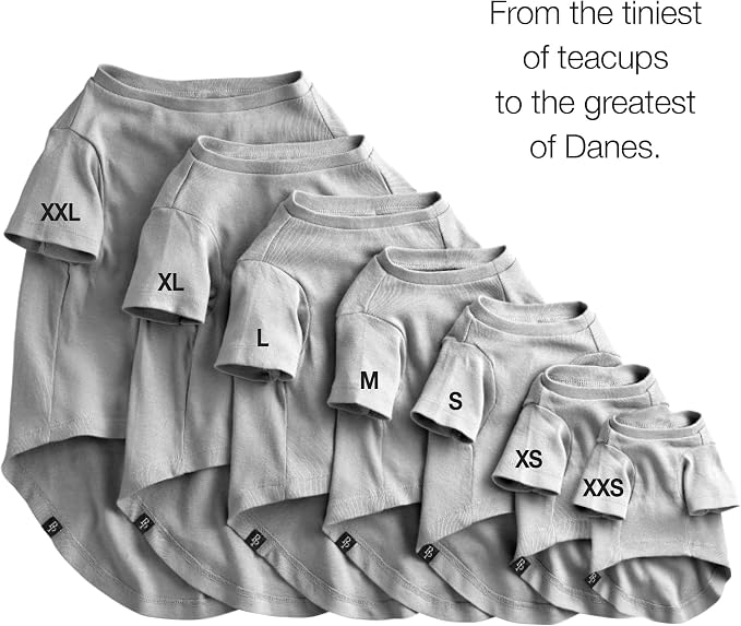 Pet Passion Toby II - The Perfect Tee, 3 Pack Short Sleeve Pet T-Shirt 100% Organic Cotton Tees Clothes for Small, Medium, Large Dogs, Gray Ombre, XX-Small (4-7 lbs)