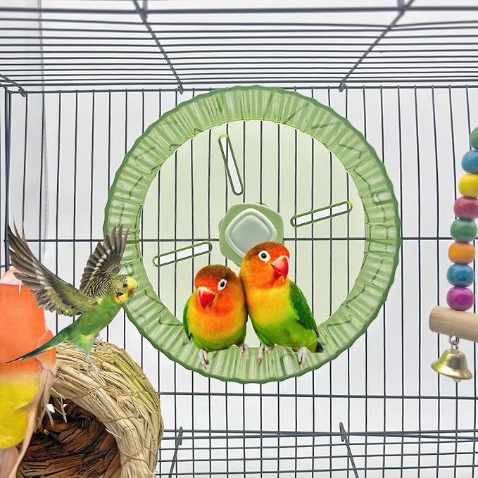 Birds Running Wheel Exercise Toys, Parrot Hamster Exercise Wheel Toy, Quiet Running Wheel for Parrots Bird Parakeets Hamster Guinea Pig Budgie Lovebird and More (Green)