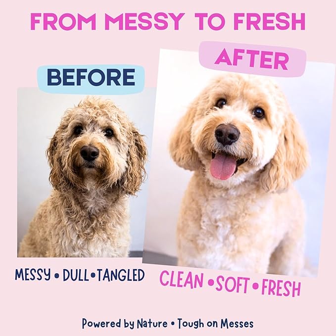 Dog Shampoo & Conditioner with Oatmeal, Aloe & Coconut 16 oz, All-in-One for Long, Curly, Short & Wavy Coats, Sensitive Skin, Sulfate & Paraben Free, Made in USA