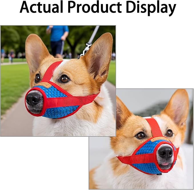 Basket Muzzle for Dogs, Prevents Biting Chewing Barking, Soft Breathable Design with Adjustable Strap, Allows Panting and Drinking, Great for Training Grooming Vet Visits (Red-Blue, Small)