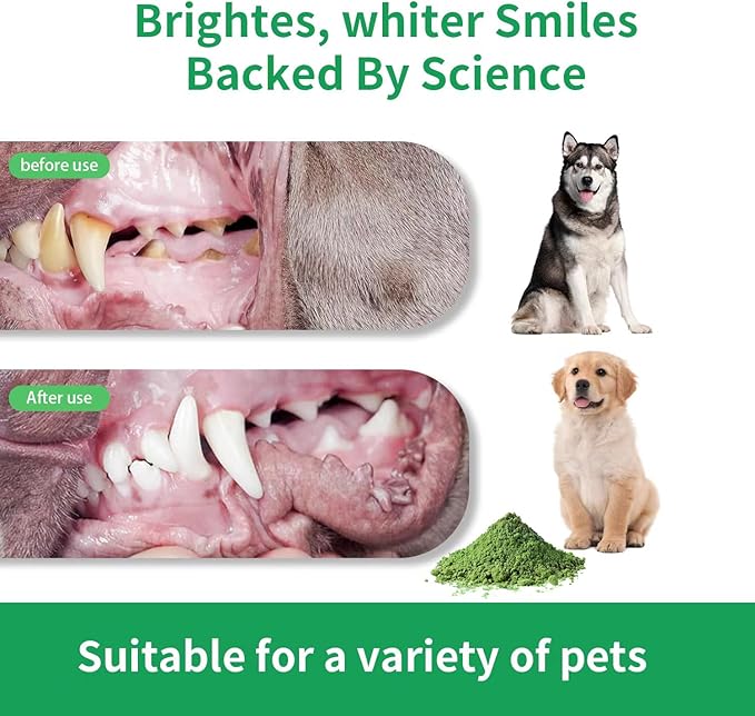 Dog Dental Care Plaqueoff Powder for Pets, Teeth Cleaning Powder for Dogs & Cats Breath Freshener for Bad Breath, Tartar Remover, Plaque Off, and for Rabbit