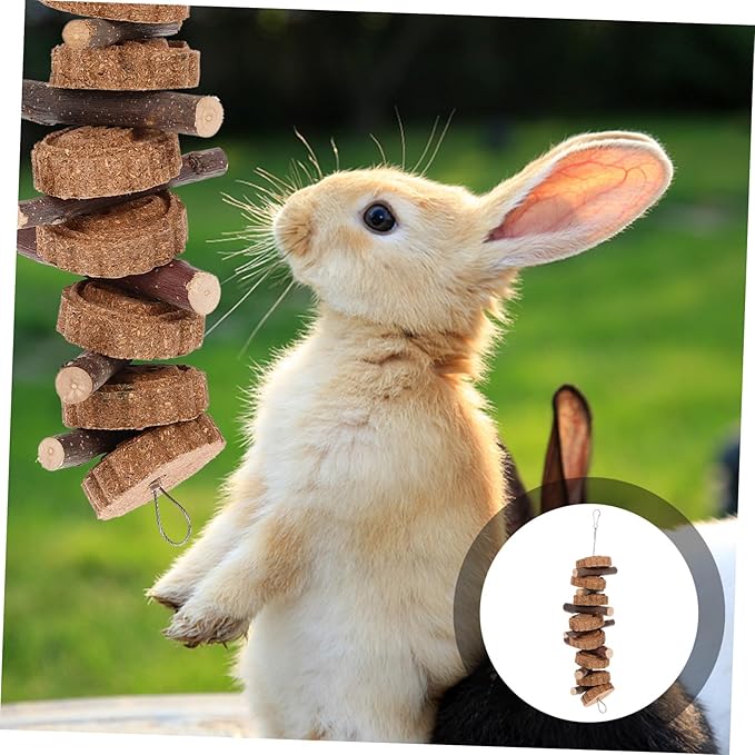 Totority Natural Carrot Branch Molar Chewing for Rabbits and Small Pets Healthy Teeth Cleaning Bunny and Guinea Pig Dental Care Treat Safe Non-Toxic Small Animal